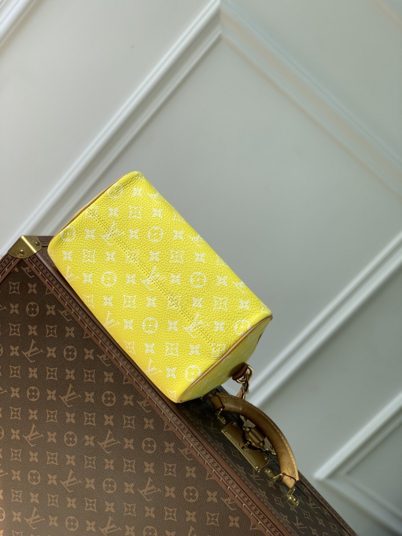 LV Travel Bags